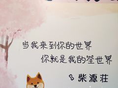 -柴源莊·柴小宠柴犬咖啡