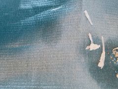 鱼丸刺-丁老爷子苏香圆