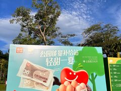 -白石龙音乐公园