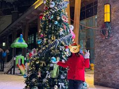 -长白山万达锦华套房酒店