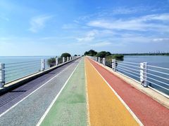 -贡湖湾湿地公园