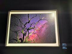 -罗红摄影艺术馆