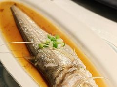 -子福慧(虹桥店)