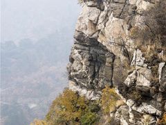 -大芦花风景区