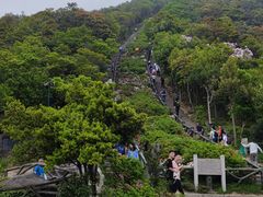 -梧桐山风景名胜区