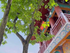 -华清宫景区