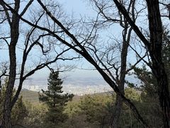 -帽儿山国家森林公园