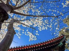 -红螺寺