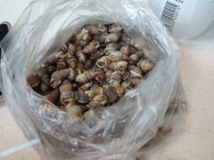 -金刚山(学府路店)