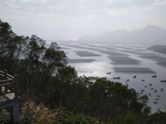 -花竹村