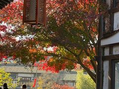 -茅山东方盐湖城景区