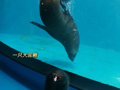 -泉城欧乐堡海洋极地世界