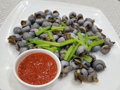 盐水香螺-星龙海鲜(望江东路店)