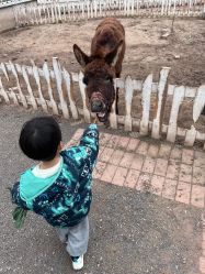 -前小桔亲子创意农场·草莓采摘·露营烧烤