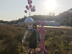 -野狸岛