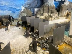 -成都浩海立方海洋公园