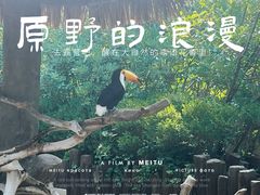 -上海野生动物园