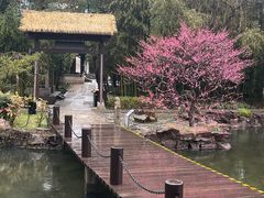 -兰亭风景区