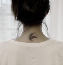 -明星刺青·洗纹身