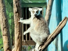 -青藏高原野生动物园