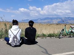 -哈素海