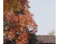 -寒山寺