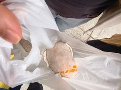 -澳门长洲糯米糍(柯打苏沙街店)