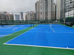 -君成体育|网球培训(蛇口校区)