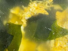 -荆九爷爆炒桥头三嫩(夫子庙店)