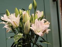 -南堂馆·新川菜(春熙路店)