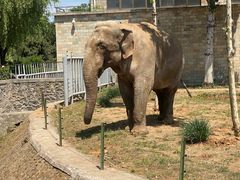 -石家庄市动物园