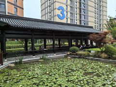 -上海浦东由由信福养老院