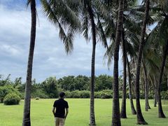 -三亚亚龙湾金棕榈度假酒店