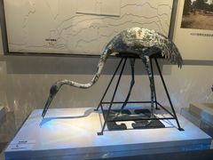 -秦始皇帝陵博物院(兵马俑)