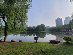 -堤角公园