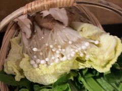 -同仁四季椰子鸡(福田东园总店)