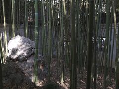 -墨池公园