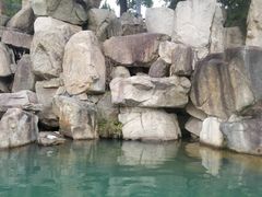 -白马涧龙池景区