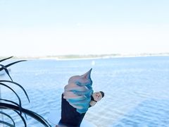 -抱抱地球咖啡馆(国家海洋博物馆店)