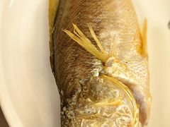 -吴记富苑(朝阳店)