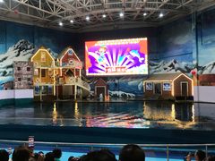 -西安曲江海洋极地公园