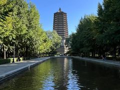 -玲珑塔公园