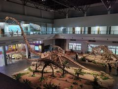 -自贡恐龙博物馆