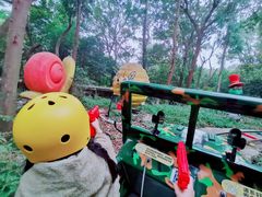-杭州少年儿童公园