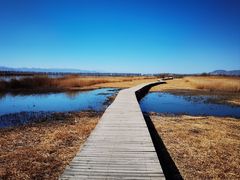 -野鸭湖国家湿地公园