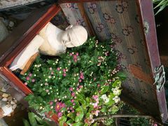 iphone_upload_pic-胡桃里乐队酒馆(鎏嘉码头店)