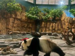 -泉州海丝野生动物世界