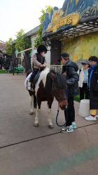 -宝燕乐园(闵行旗舰店)