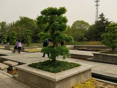-石家庄市植物园