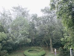 -深圳东部华侨城茵特拉根酒店